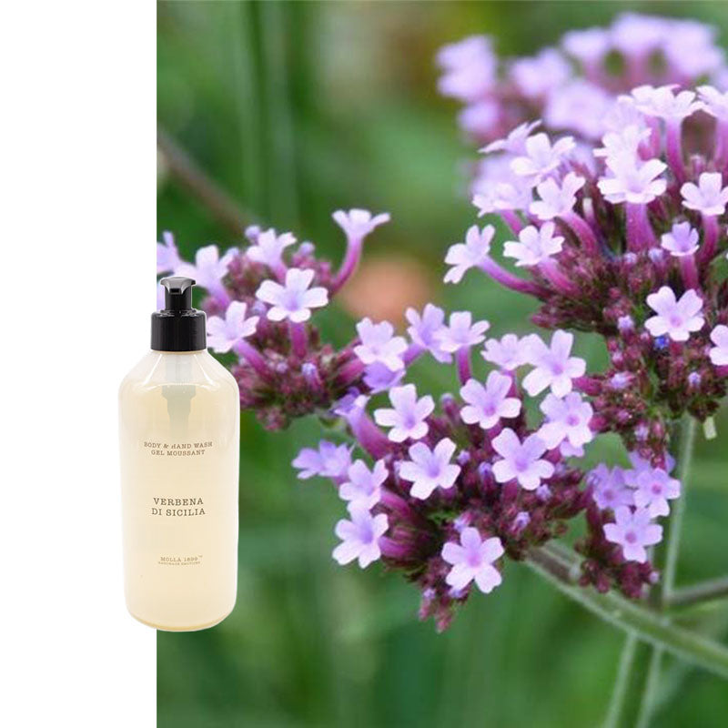 Cereria Molla Body Lotion Sizilianisches Eisenkraut