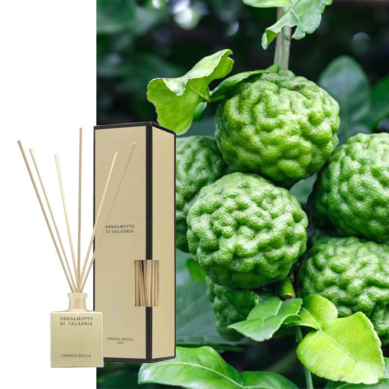 Cereria Molla Diffuser Kalabrische Bergamotte