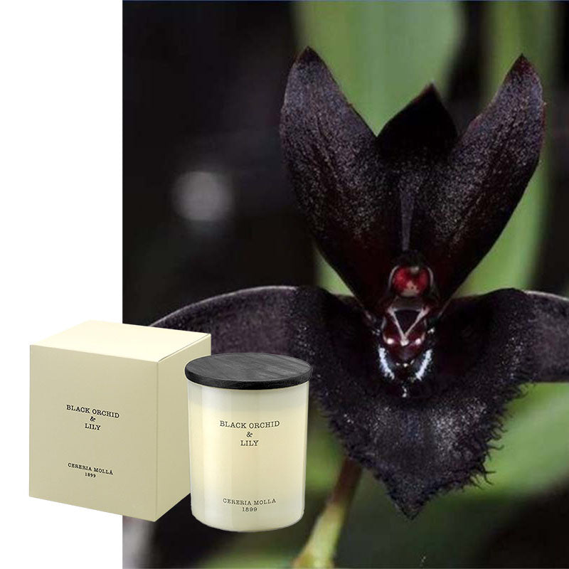 Duftkerze Cereria Molla Schwarze Orchidee & Lilie