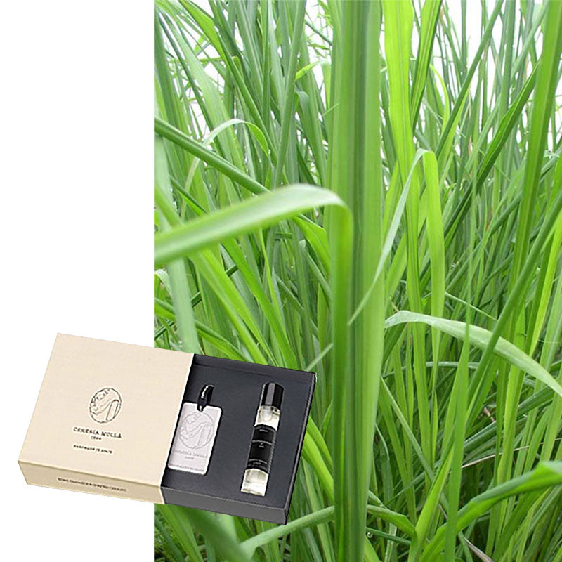 Geschenkset Cereria Molla, Raumduft, Parfüm & Keramik