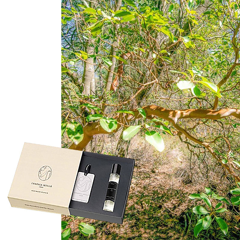 Geschenkset Cereria Molla, Raumduft, Parfüm & Keramik