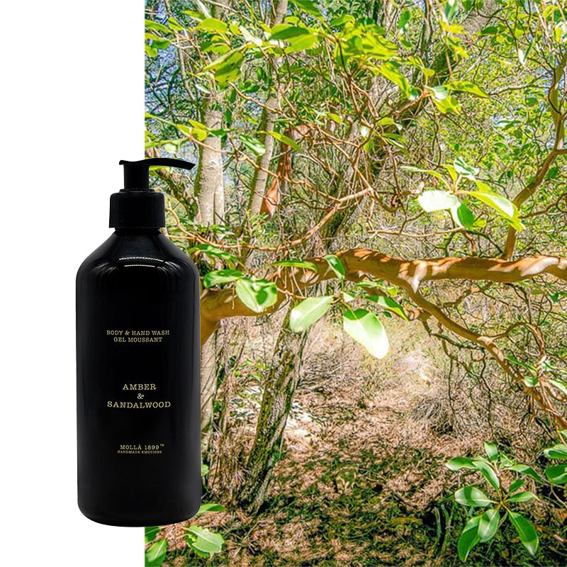 Body & Hand Wash Cereria Molla Sandelholz & Bernstein