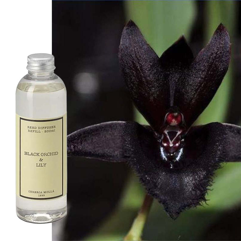 Diffuser Refill Schwarze Orchidee & Lilie Cereria Molla