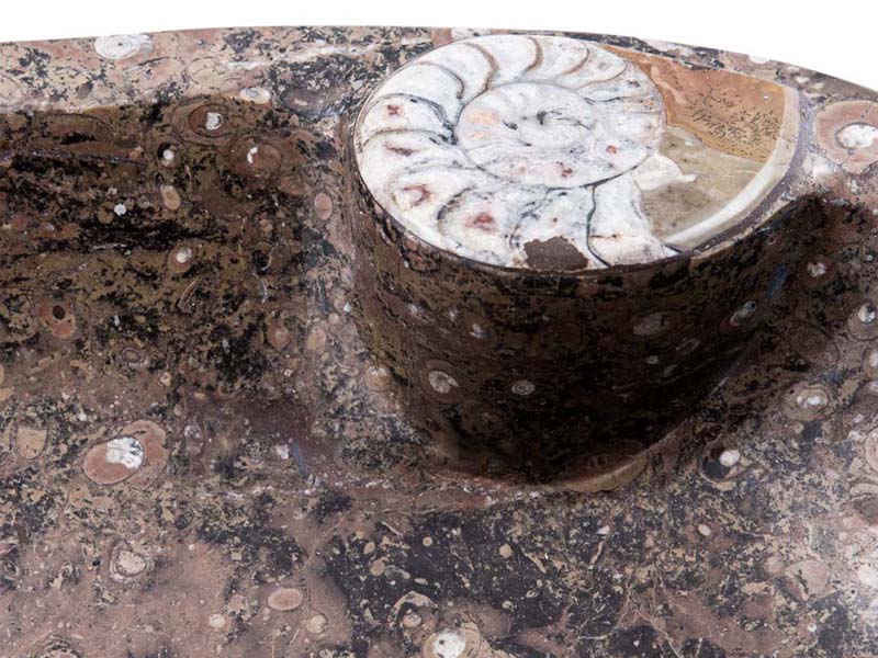 Lavabo Fossilien Nahansicht