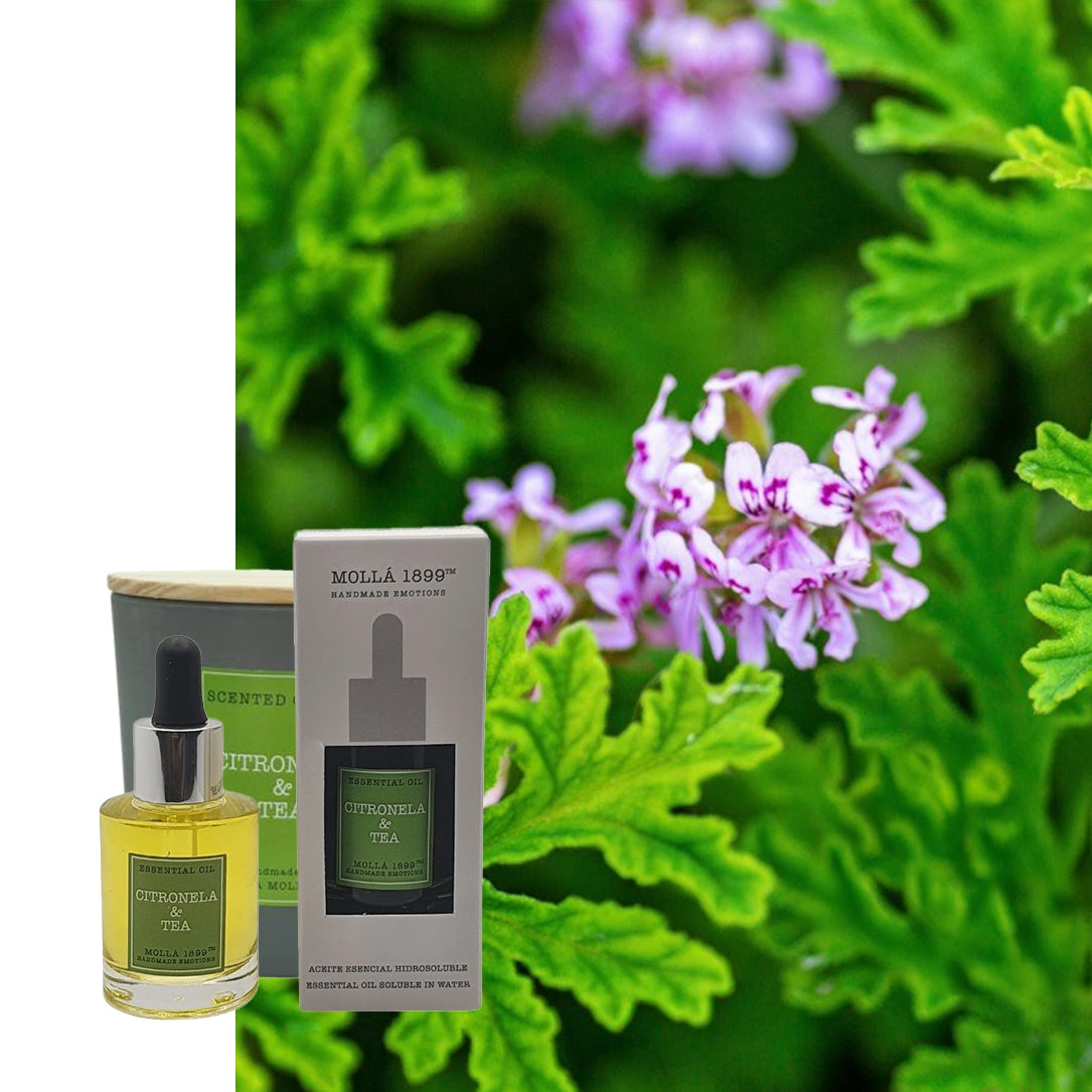 Ätherisches Öl Cereria Molla Citronella & Tee natürlich