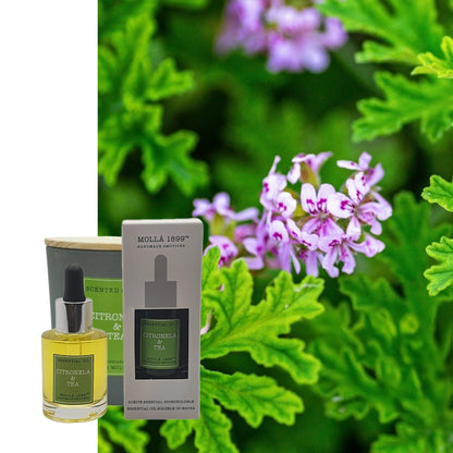 Ätherisches Öl Cereria Molla Citronella & Tee natürlich