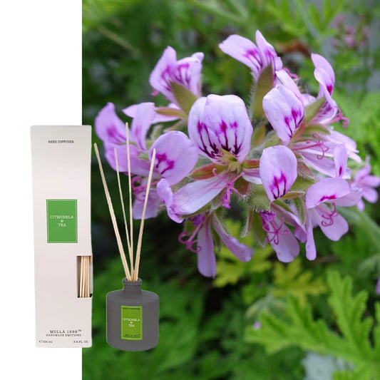 Cereria Molla Diffuser Citronella Tee