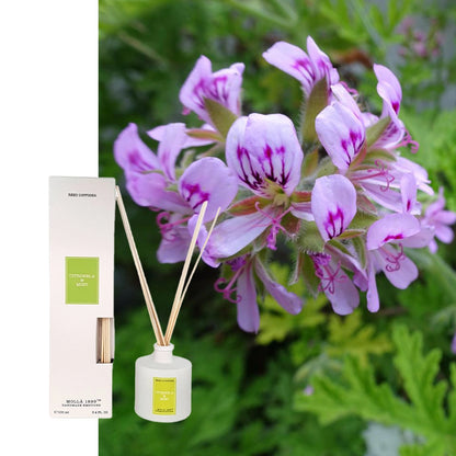 Cereria Molla Diffuser Citronella Minze