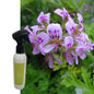 Raumspray Citronella & Minze Cereria Molla