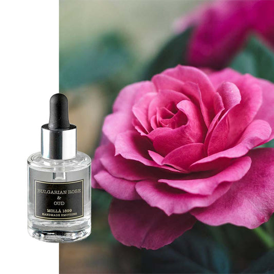 Ätherisches Öl Cereria Molla Bulgarische Rose & Oud