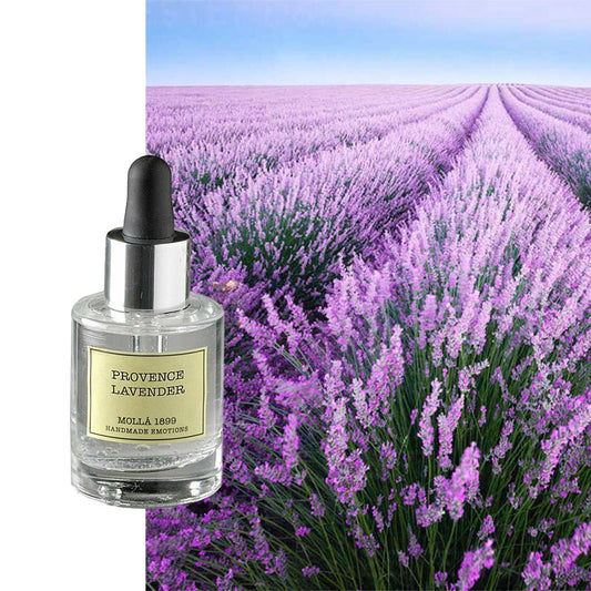 Ätherisches Öl Cereria Molla Lavendel natürlich
