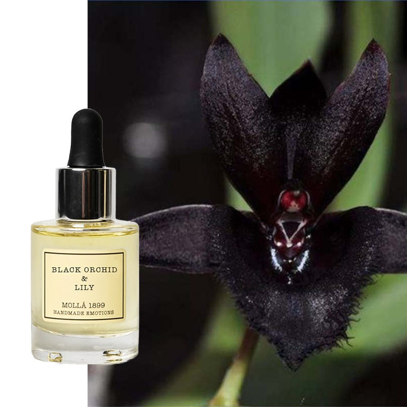 Ätherisches Öl Cereria Molla Schwarze Orchidee & Lilie natürlich 