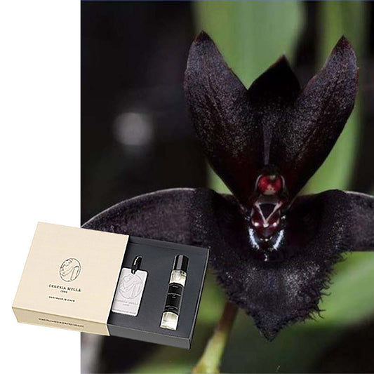 Luxus-Geschenkset Cereria Molla Raumduft, Parfüm & Keramik 