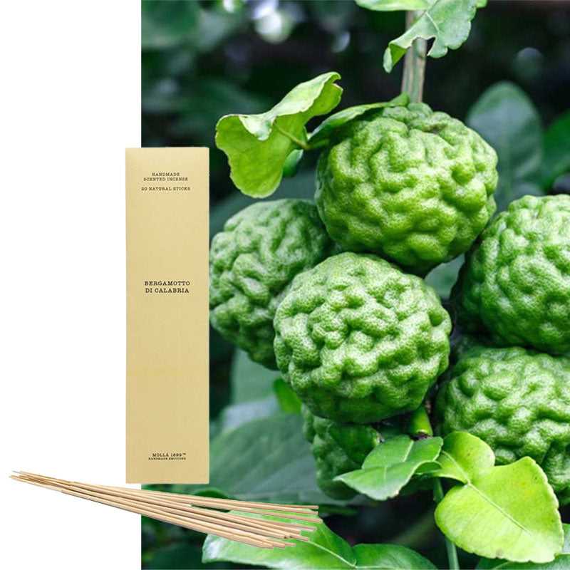 Räucherstäbchen Cereria Molla Kalabrische Bergamotte 