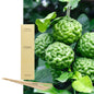 Räucherstäbchen Cereria Molla Kalabrische Bergamotte 