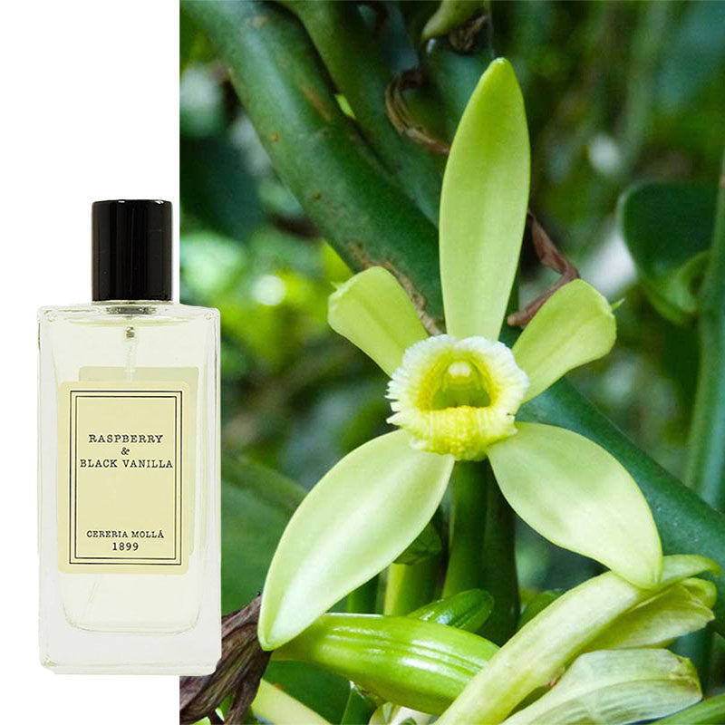 Raumspray Vanille & Himbeere Cereria Molla