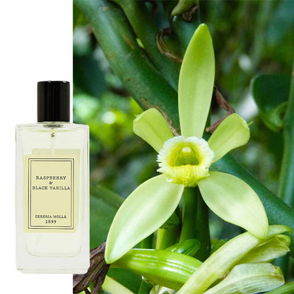 Raumspray Vanille & Himbeere Cereria Molla