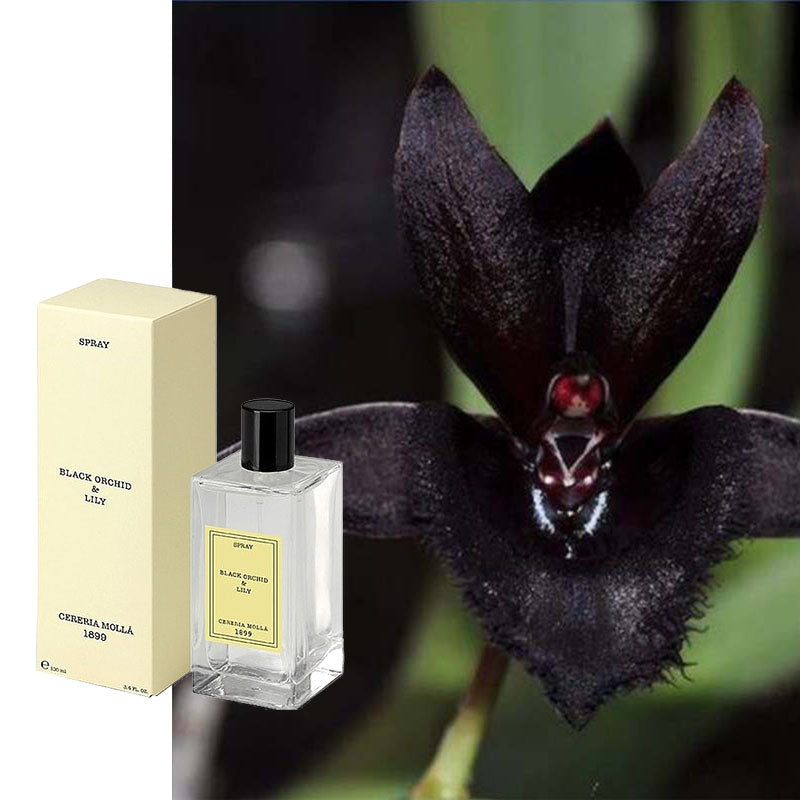 Raumspray Schwarze Orchidee & Lilie natürlich Cereria Molla